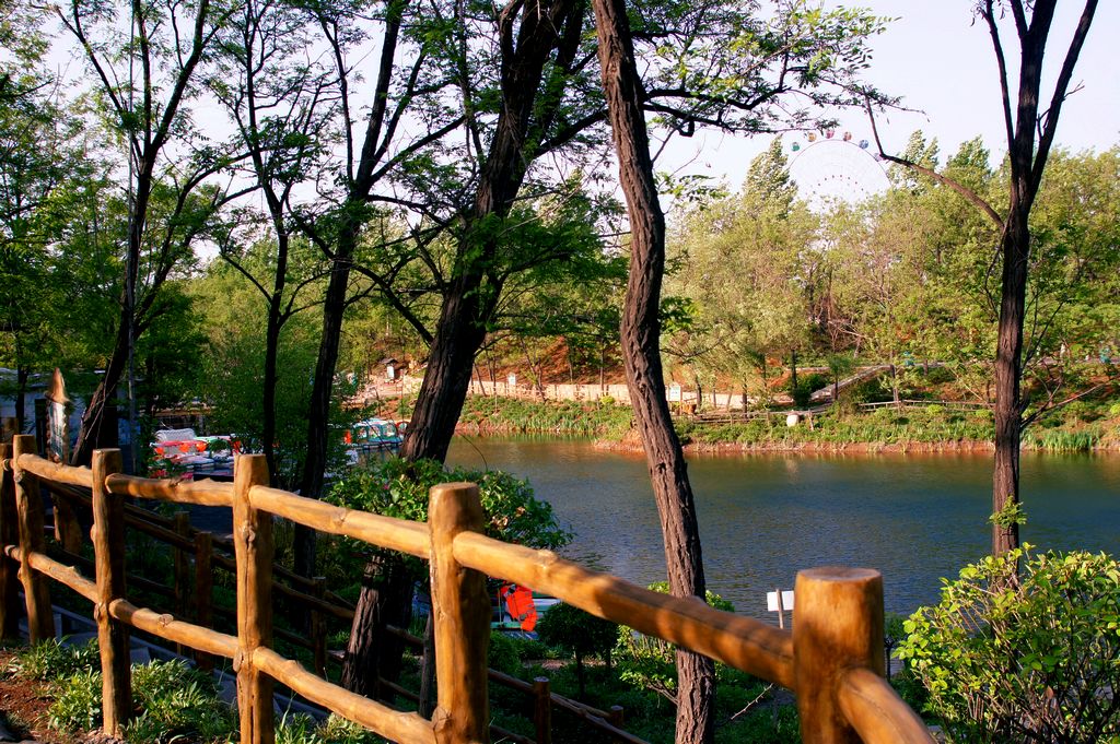 开心玉黛湖 - 淄博拍客 - 齐鲁社区 - 山东最大的城市