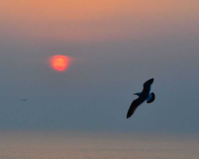 落霞与孤鹜齐飞 秋水共长天一色