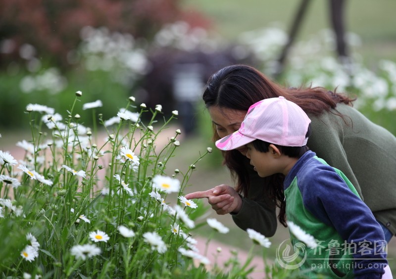 {母爱如花}.