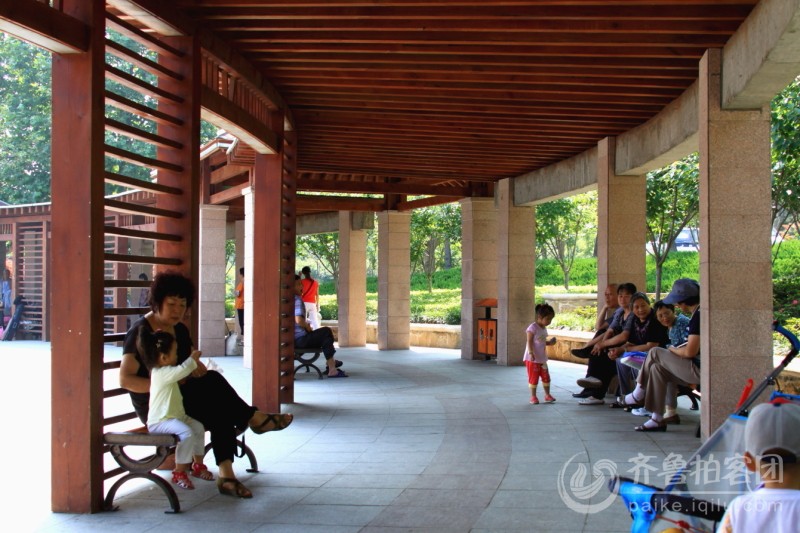 威海樱花(会计学校)公园随拍小景 - 威海拍客 - 