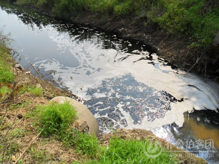 污水任意排放,村民生活受到影响