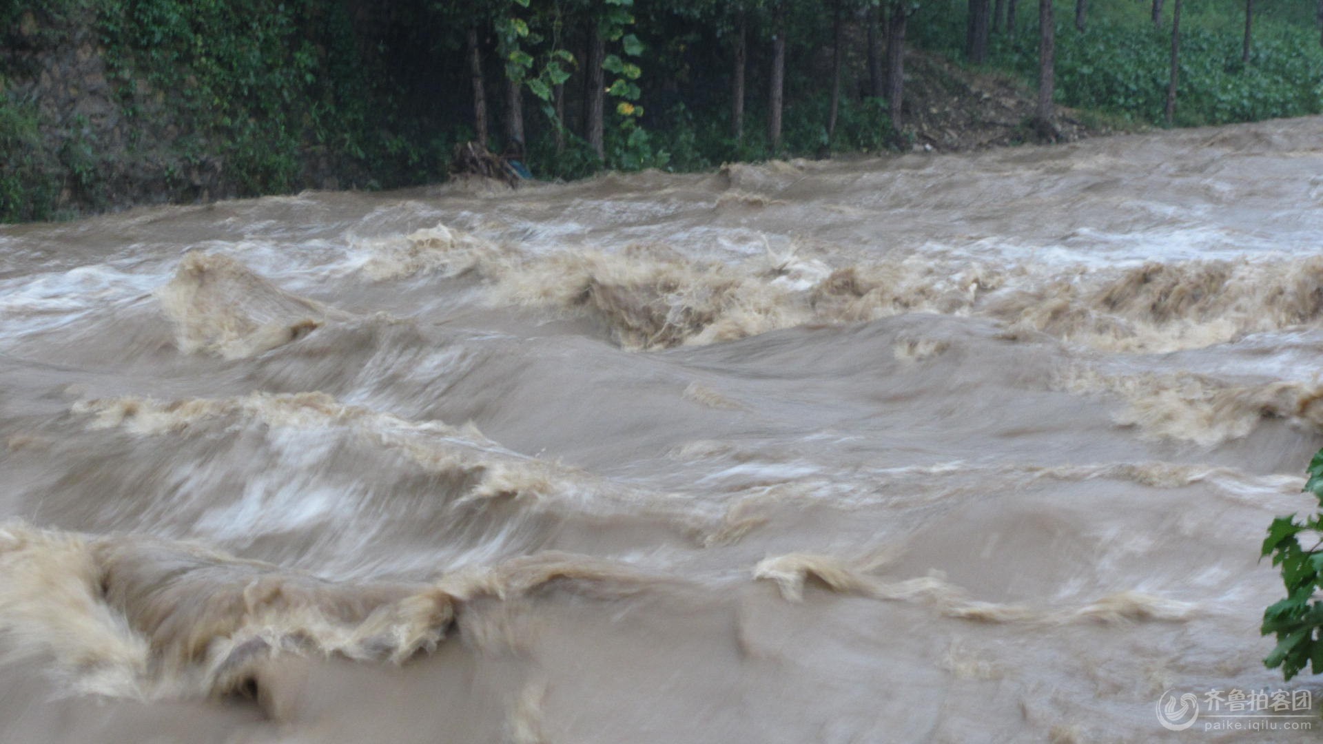 今天下的雨好大 - 临沂拍客 - 齐鲁社区 - 山东第