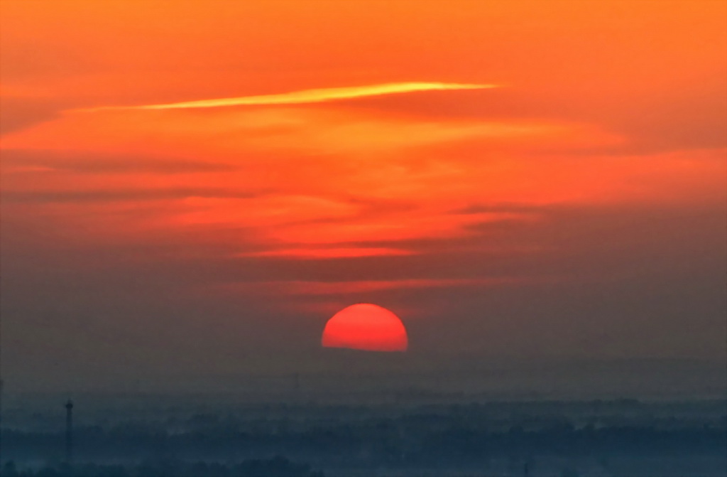 夕阳红