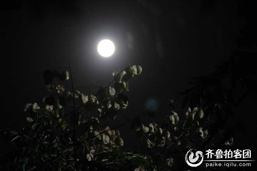 今年八月十五的月亮最圆