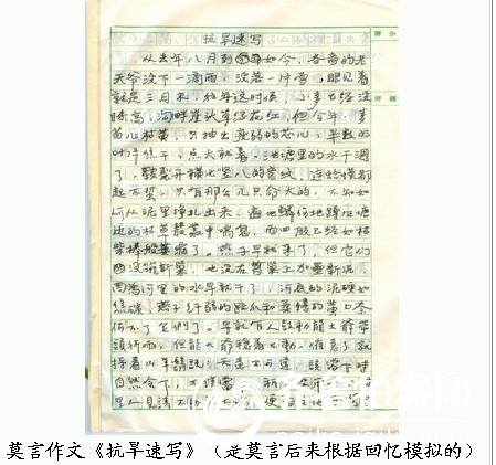 作文草稿350字