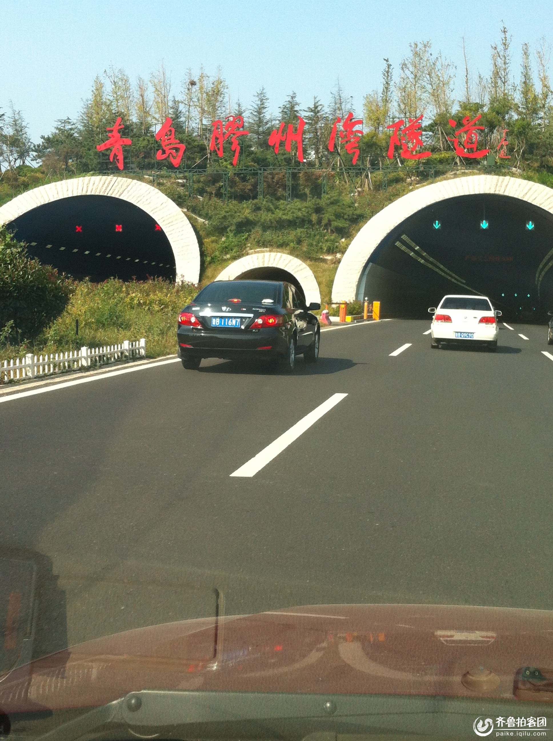 青黄相接的路上 - 潍坊拍客 - 齐鲁社区 - 山东最