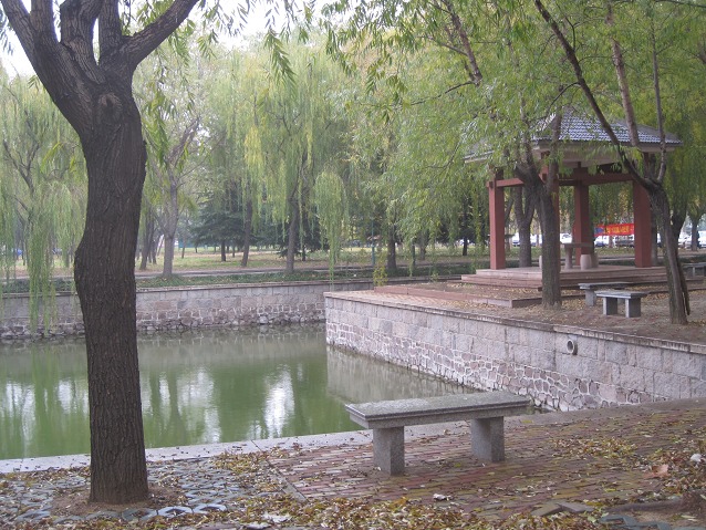 秋雨中的青岛农业大学 - 青岛专区