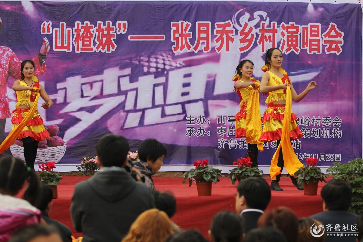 <em>让梦想飞</em> <em>山楂妹</em>--张月乔乡村演唱会圆满成功