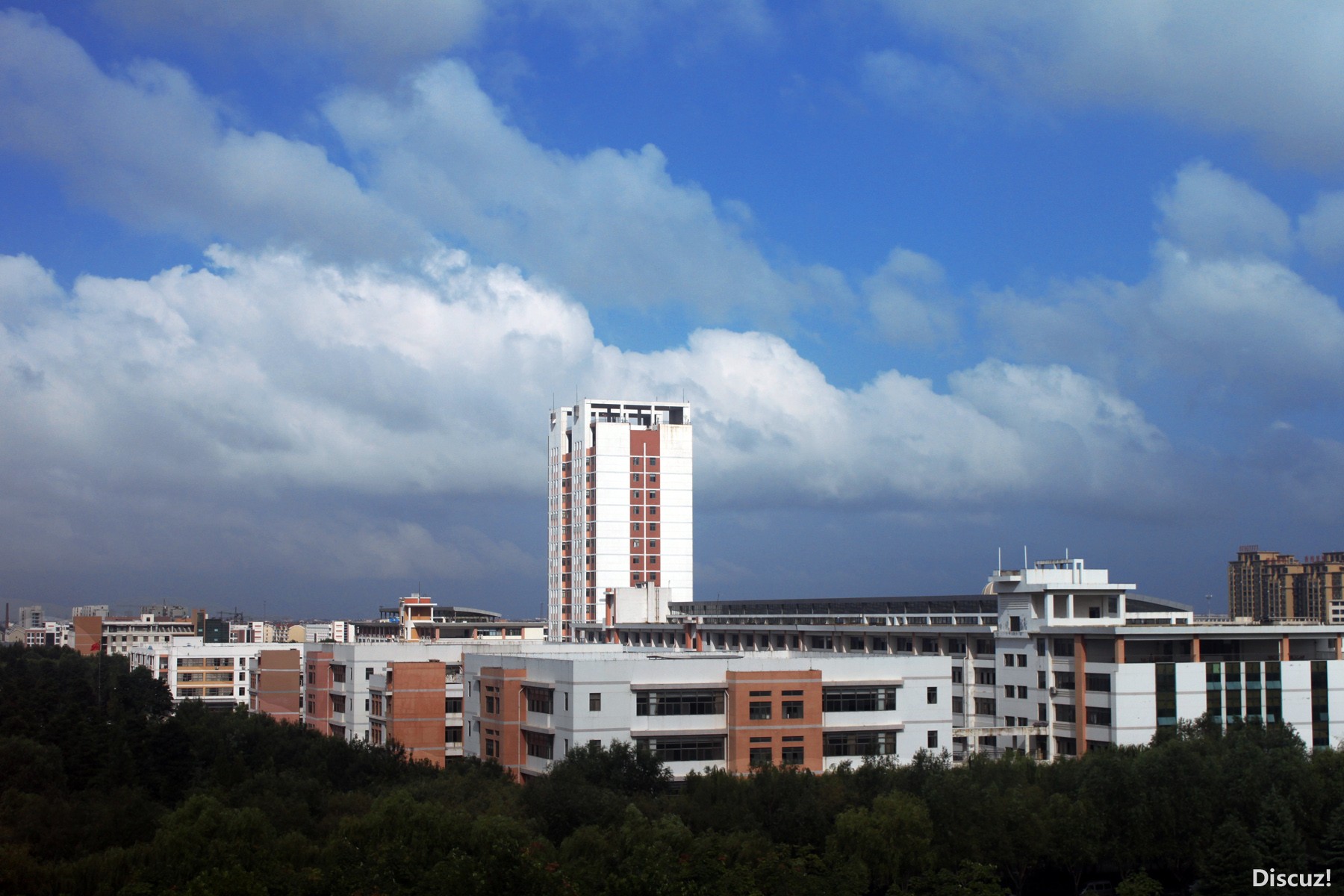 《我拍我的大学》--青岛农业大学 - 青岛校园拍