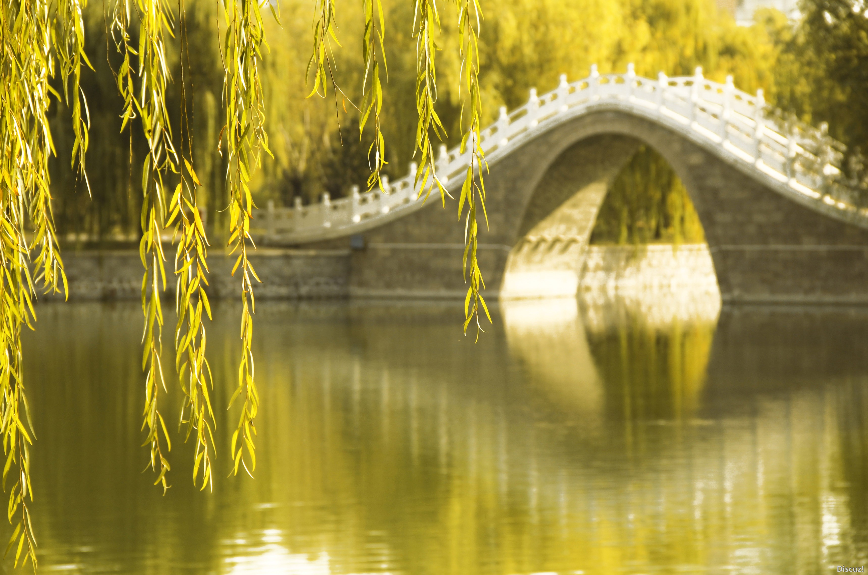 《我拍我的大学》--青岛农业大学 - 青岛校园拍