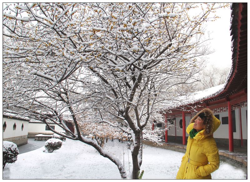 我喜欢雪,更喜欢雪天里的梅花1.jpg