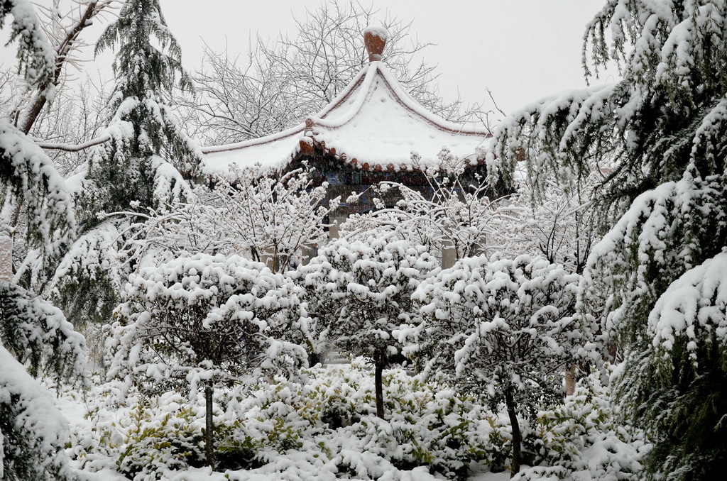 公园雪景