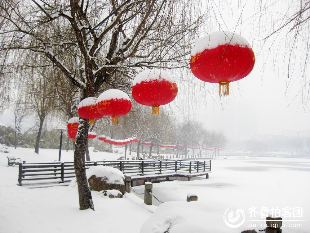 又见雪打灯 - 滨州拍客 - 齐鲁社区 - 山东最大的