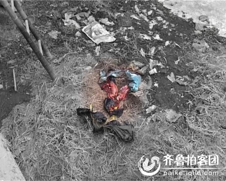 河道惊现多名死婴,出处成迷