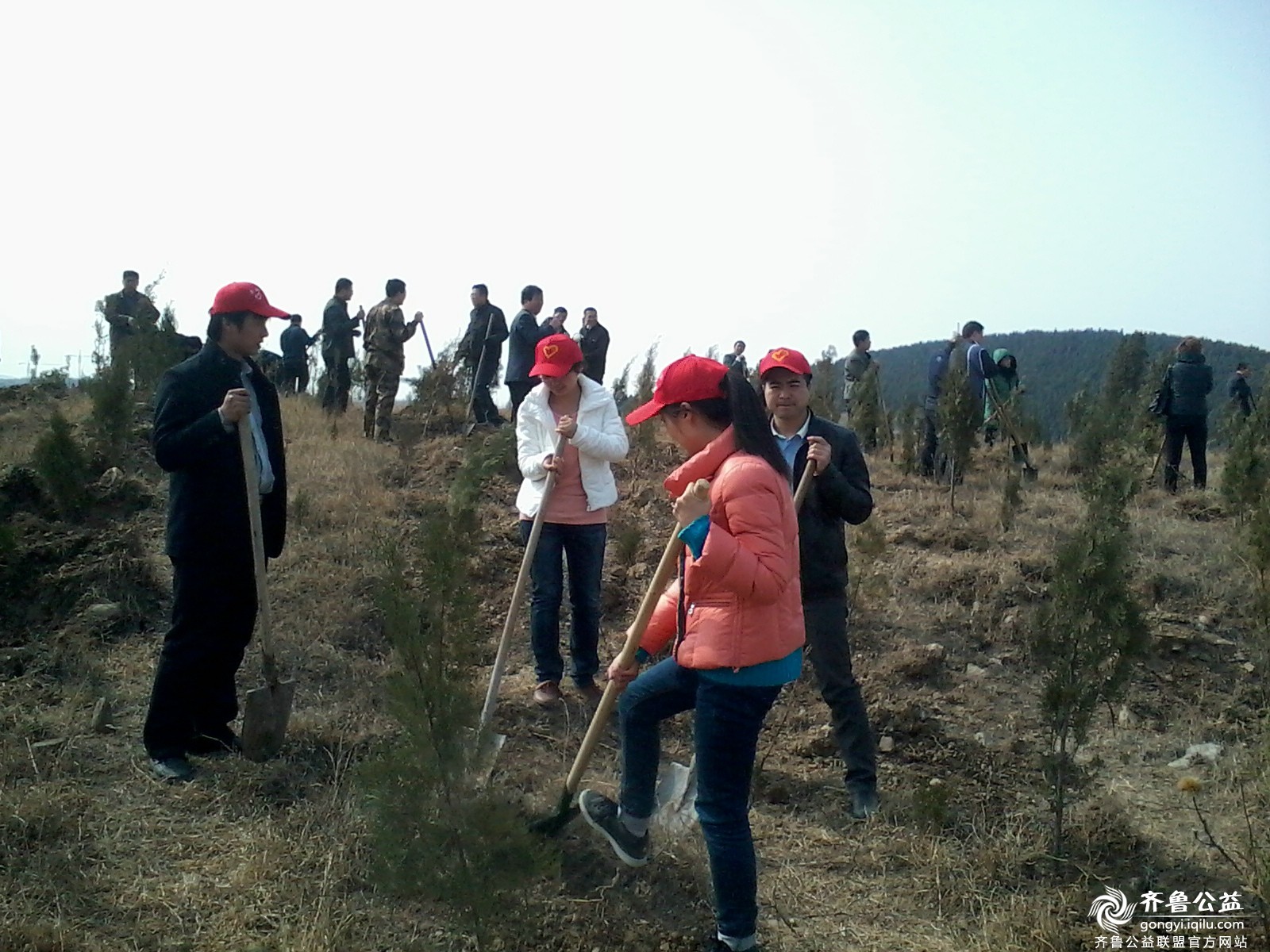 昌乐公益联盟志愿者参加植树节活动纪实 - 公益