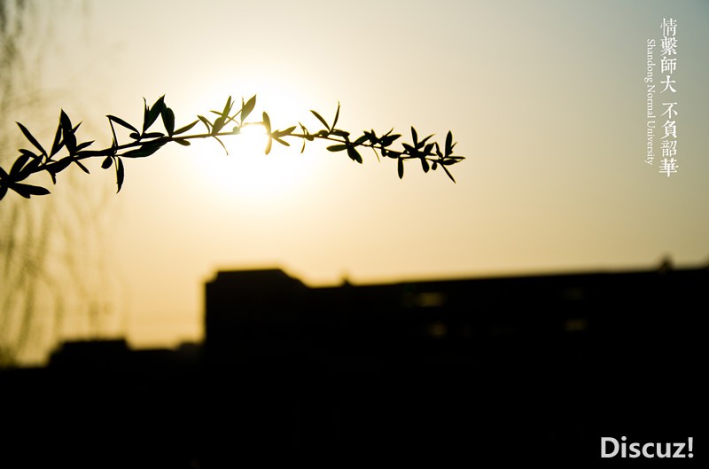 《情系师大 不负韶华》山师大美景 - 济南论坛 - 齐鲁社区 - 山东最大的城市生活社区,山东广播电视台官方社区!