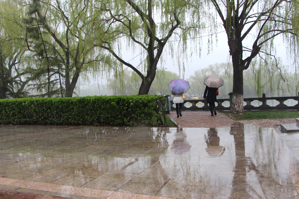 清明时节雨纷纷!【百脉泉雨中风景】【1】 - 风光