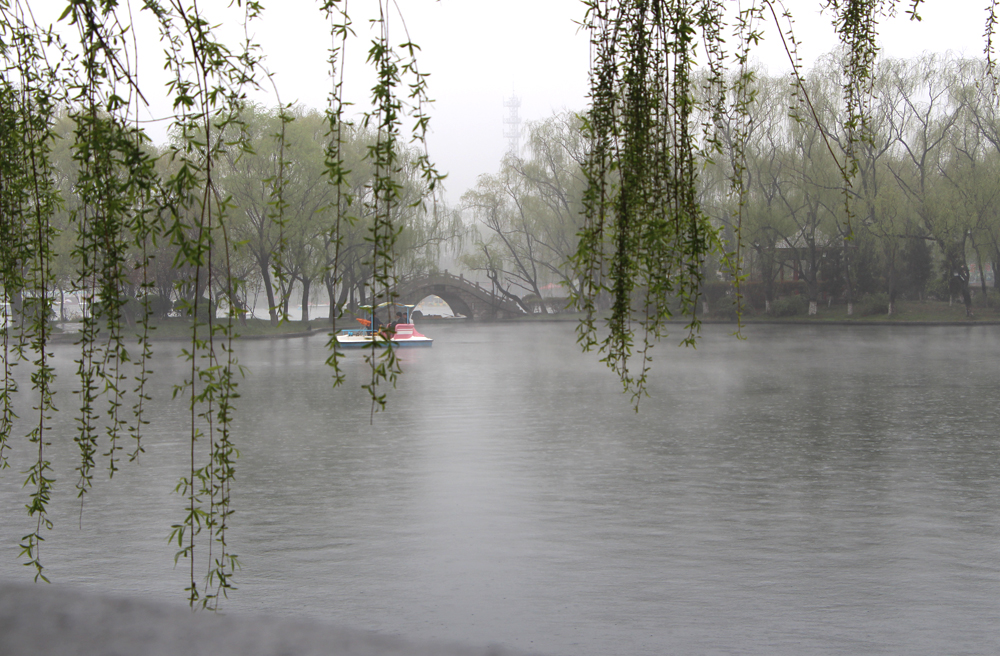 清明时节雨纷纷!【百脉泉雨中风景】【1】 - 风光