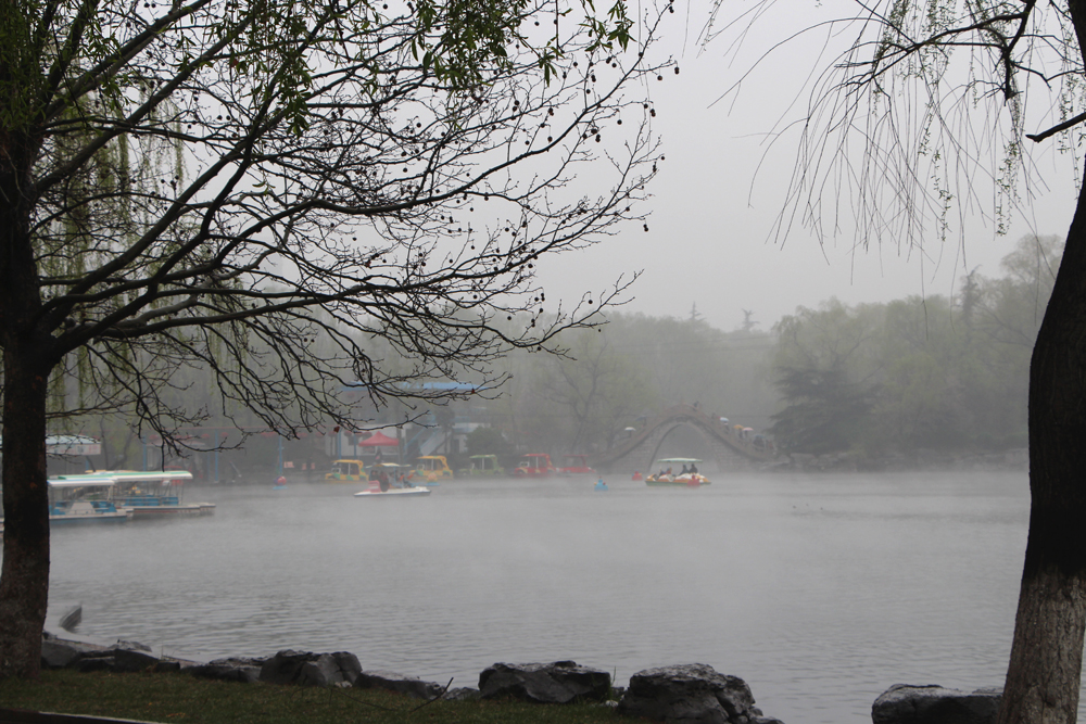 清明时节雨纷纷!【百脉泉雨中风景】【2】 - 风光
