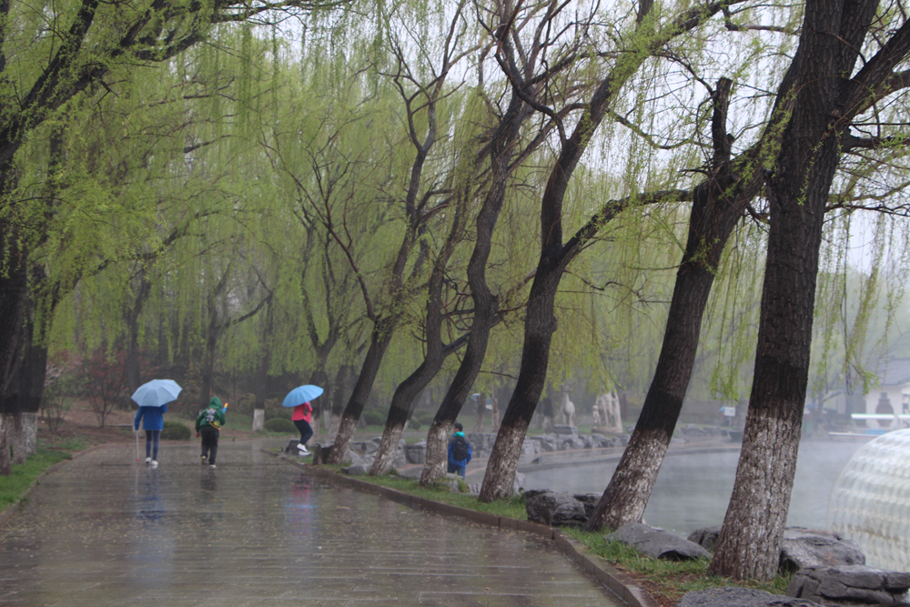 清明时节雨纷纷!【百脉泉雨中风景】【2】 - 风光