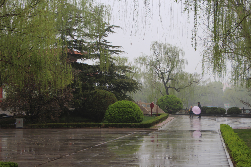 【百脉泉雨中风景】【3】 - 风光