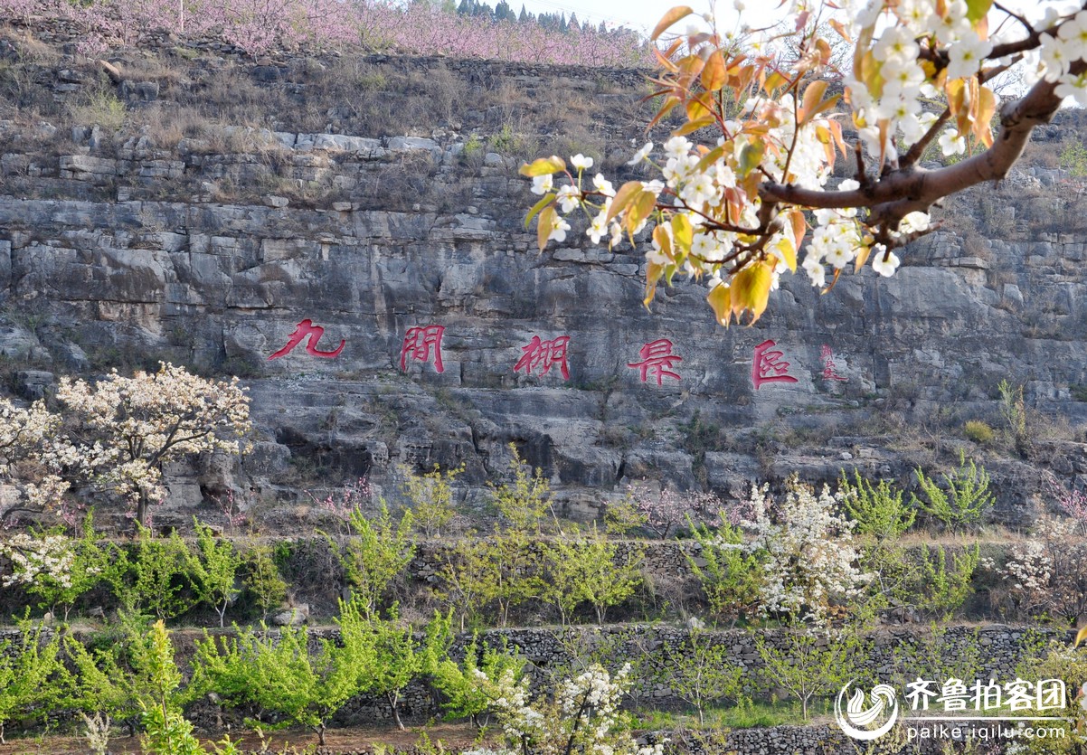山东平邑案 图片合集