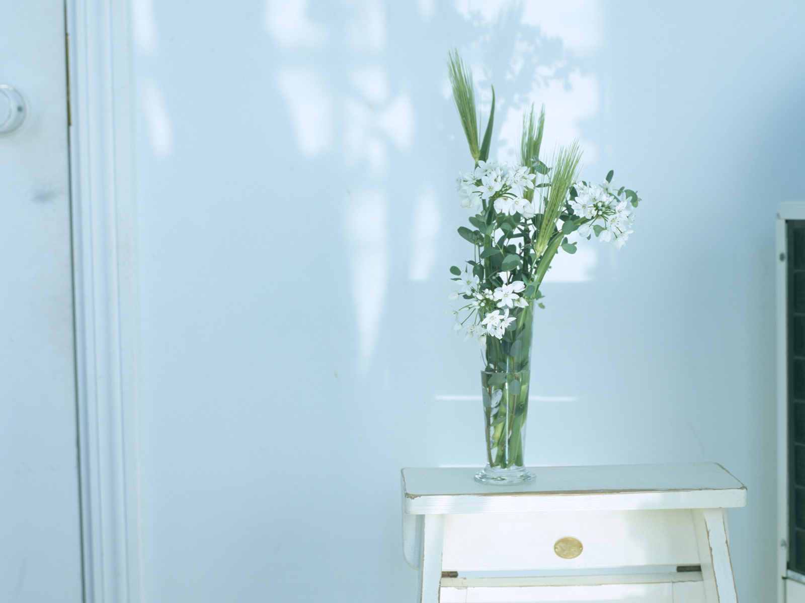 感受心情愉悦的视觉SPA-家居静物景观摄影16