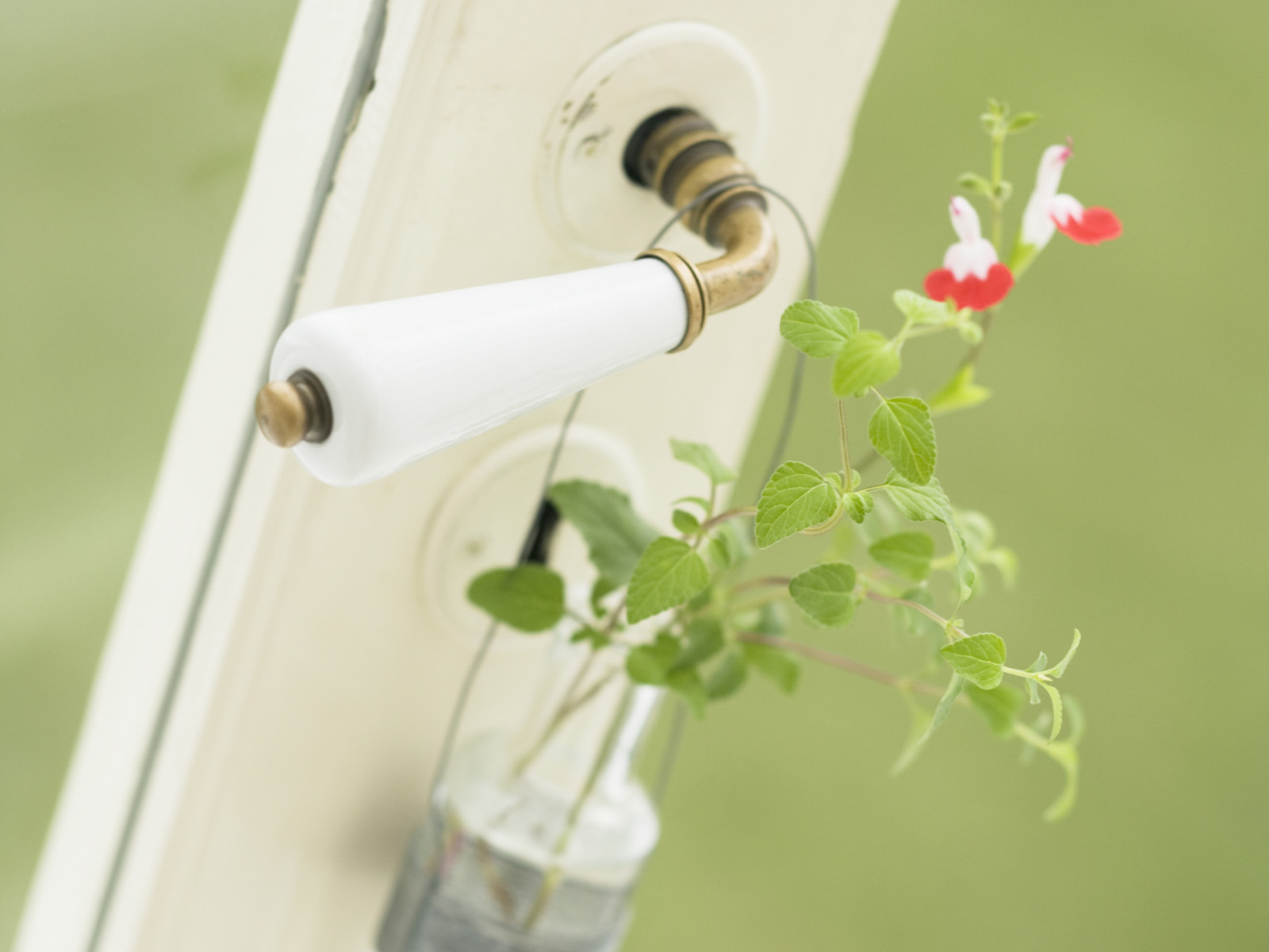 感受心情愉悦的视觉SPA-家居静物景观摄影16