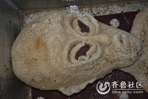 电死外星人图片