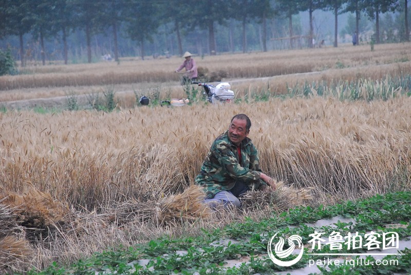 乡村季风---费县经济开发区 - 临沂拍客 - 齐鲁社