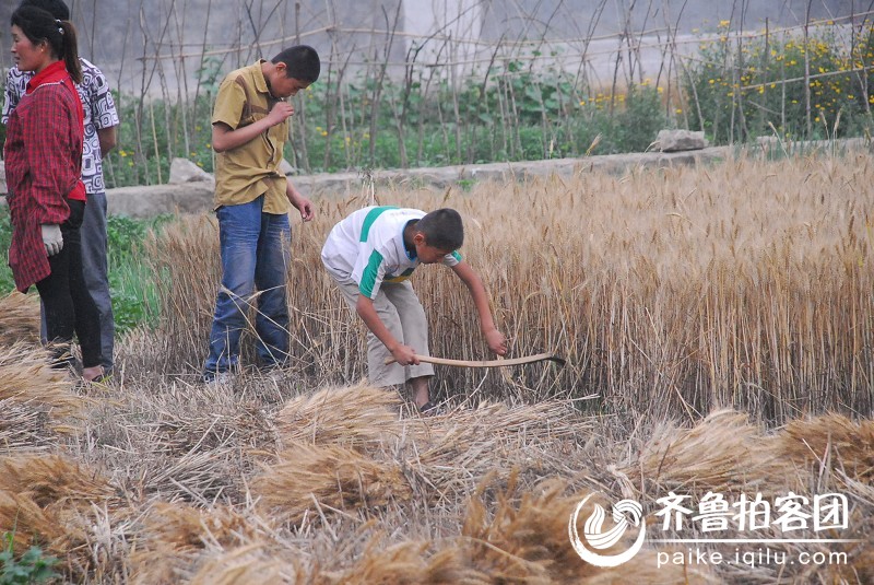 乡村季风---费县经济开发区 - 临沂拍客 - 齐鲁社