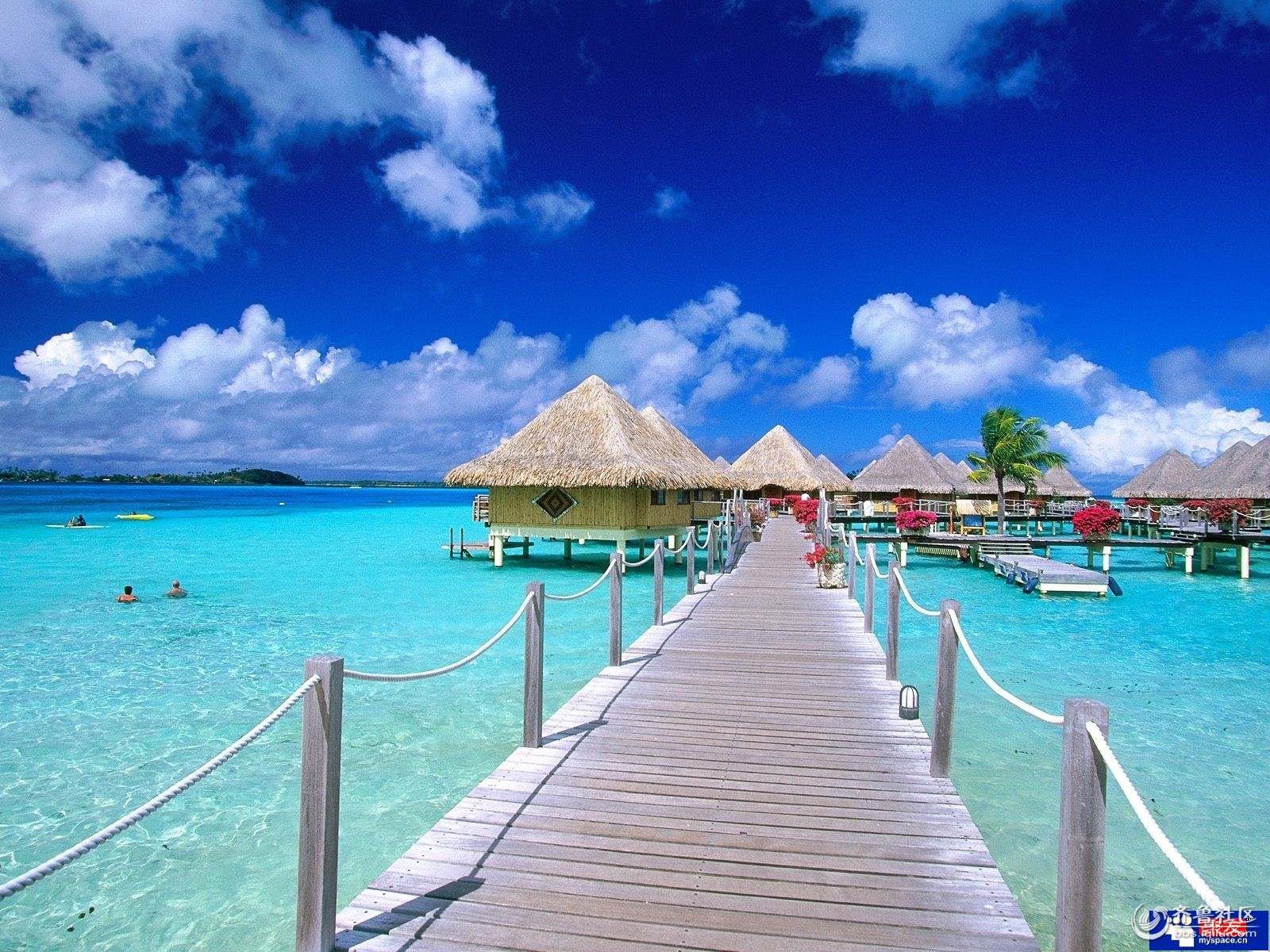 在对的时间和对的人牵手马尔代夫--心动印度洋