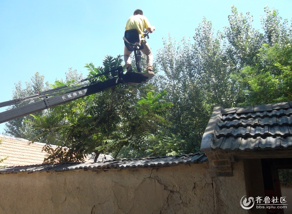 周迅主演的电视剧《红高粱》即将在高密东北乡