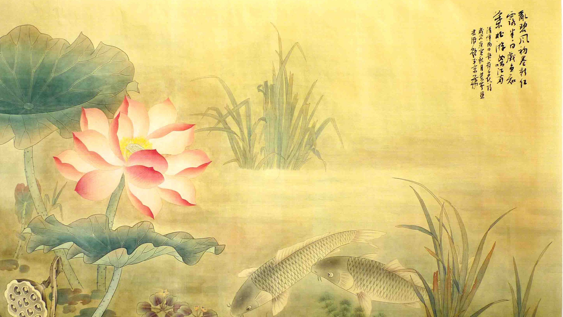 荷花国画桌面壁纸图片