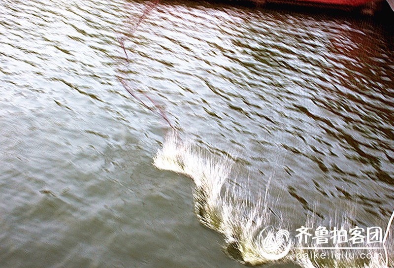 好点的鱼网 203648tj3zztxxtawtswmw.jpg