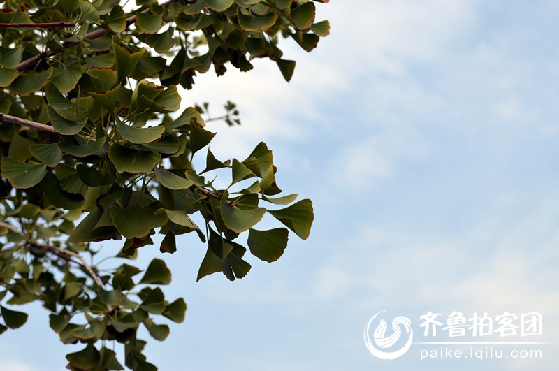 经干院都开学了,我们的<em>小学妹</em>学弟还会远吗 - 