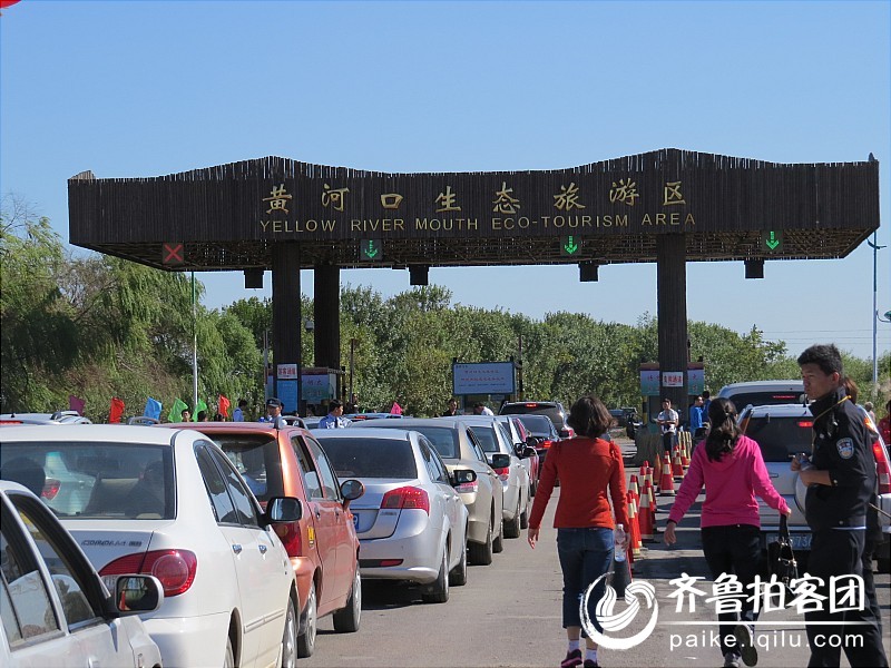 东营黄河入海口景区入口,车辆排起了长龙。 - 