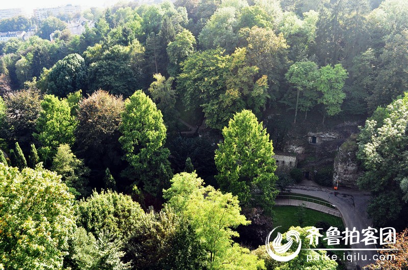 卢森堡大峡谷 - 菏泽拍客 - 齐鲁社区 - 山东最大