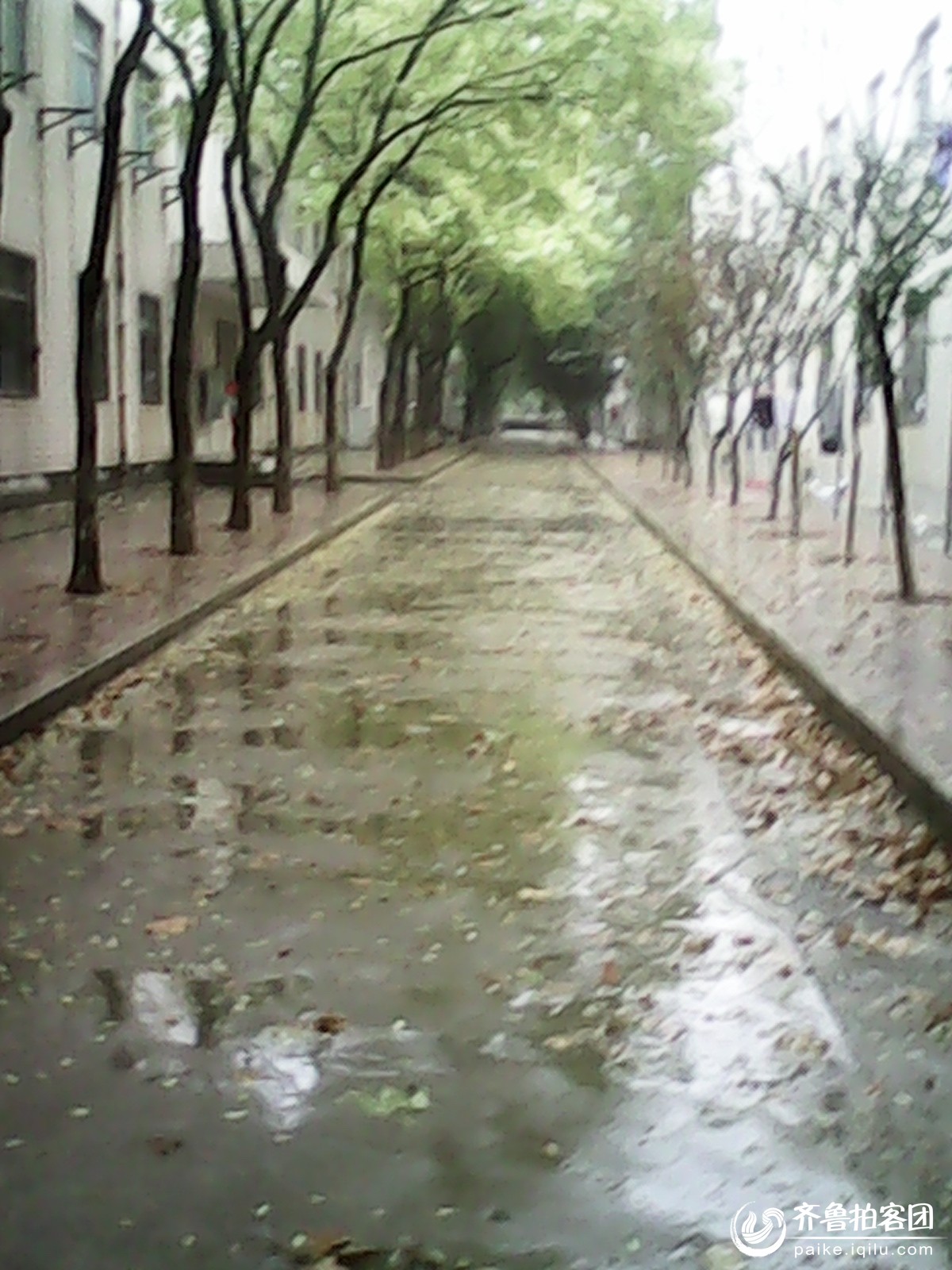 济南的下雨天,让来自四川的我不知所措 - 济南