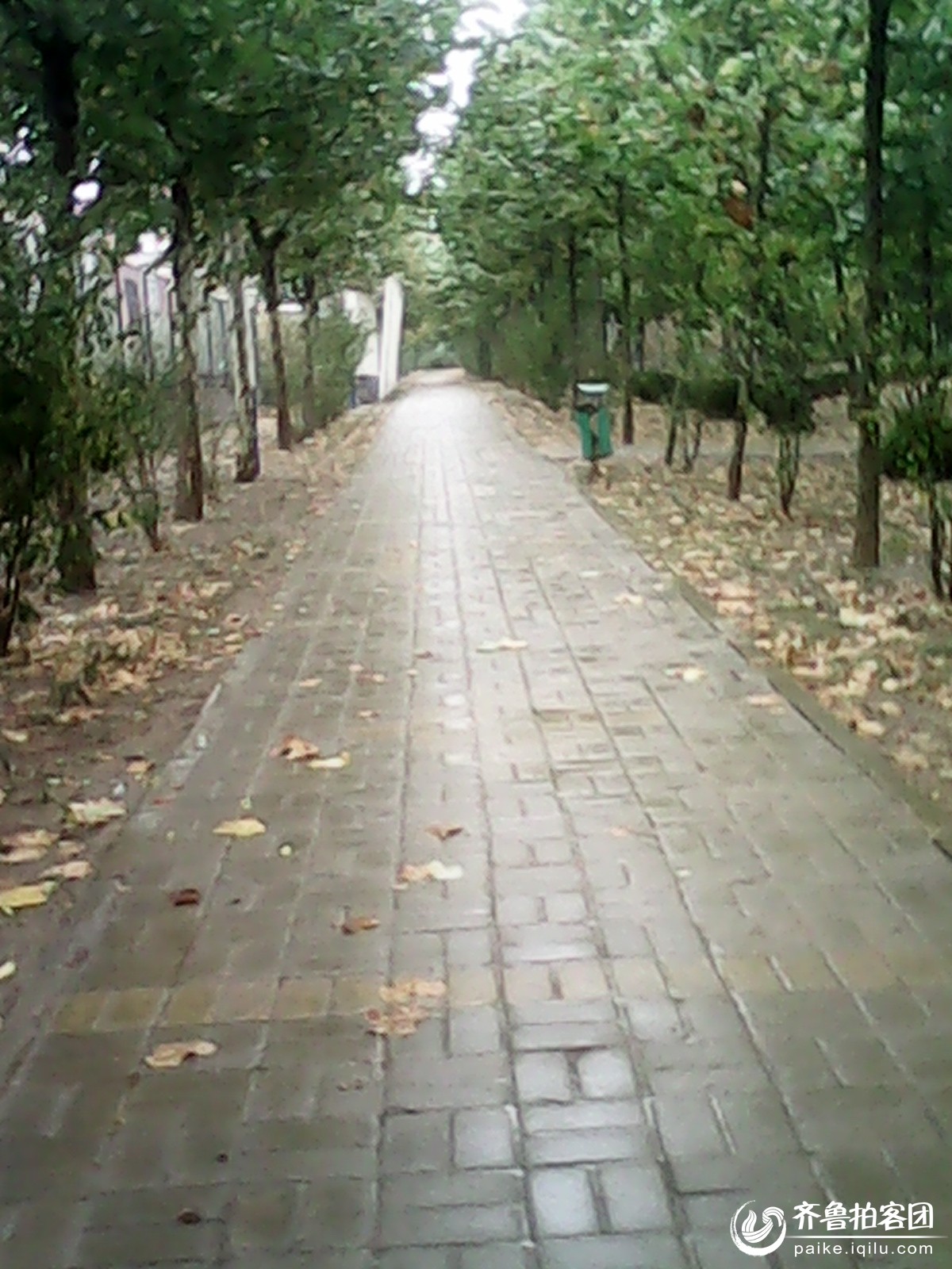 济南的下雨天,让来自四川的我不知所措 - 济南