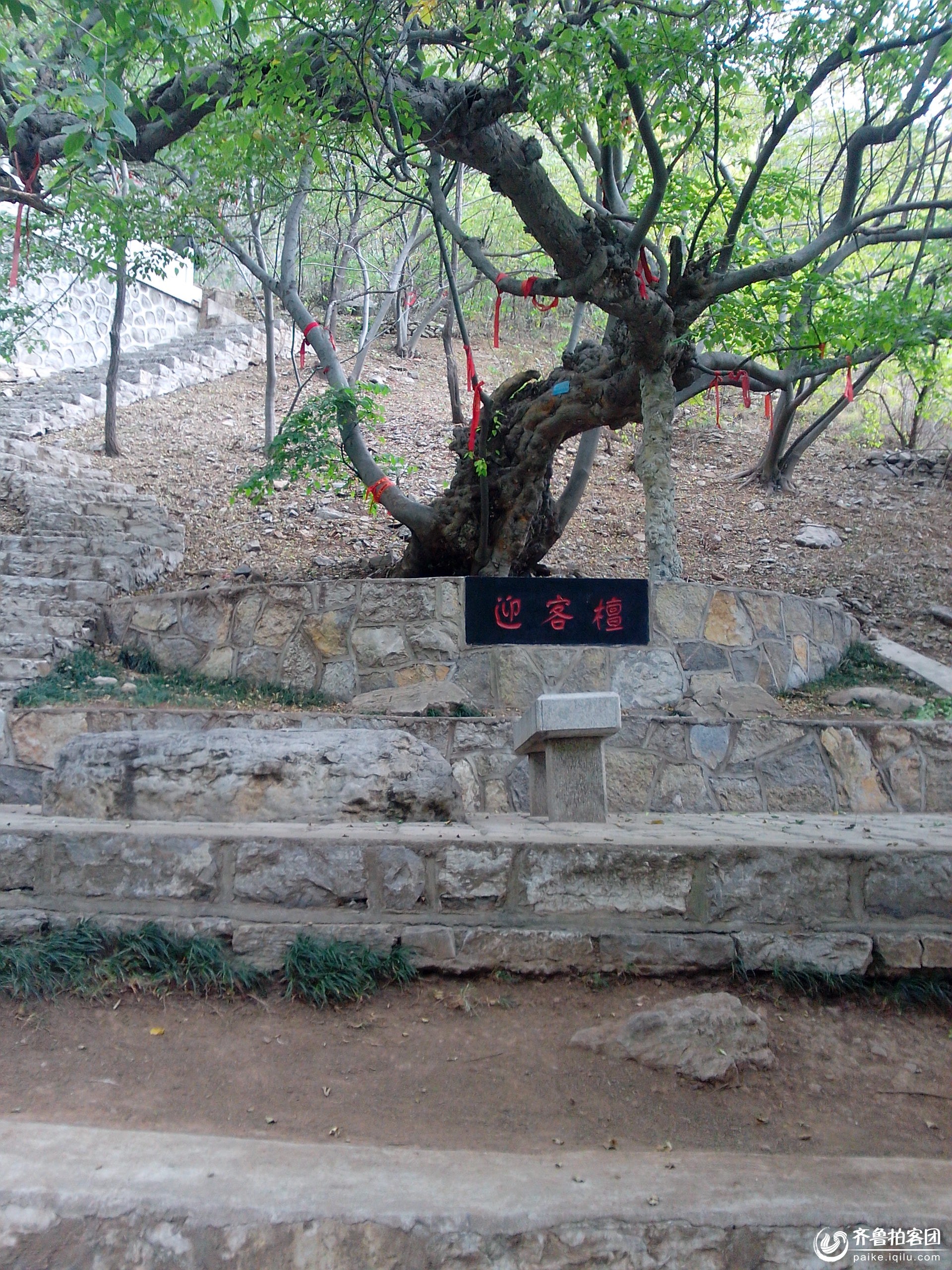 枣庄青檀寺一日游 - 济宁拍客 - 齐鲁社区 - 山东