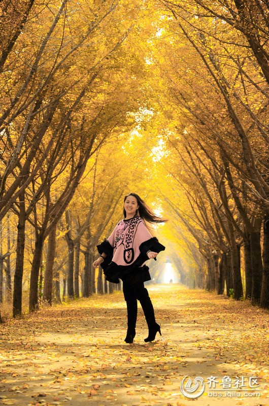 江苏邳州市银杏林 - 自游人俱乐部 - 齐鲁社区 -