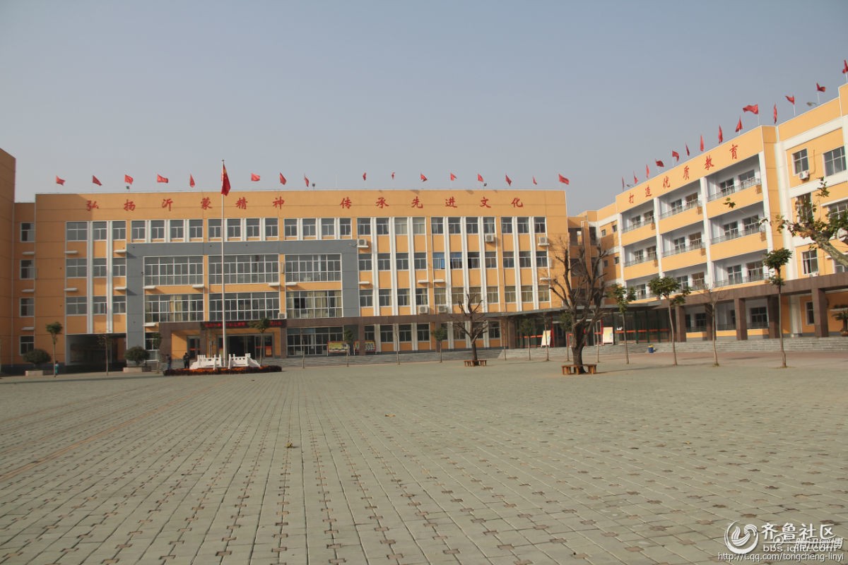 临沂红旗 小学小学生 校内 猝死  呼吁校医驻 学校 