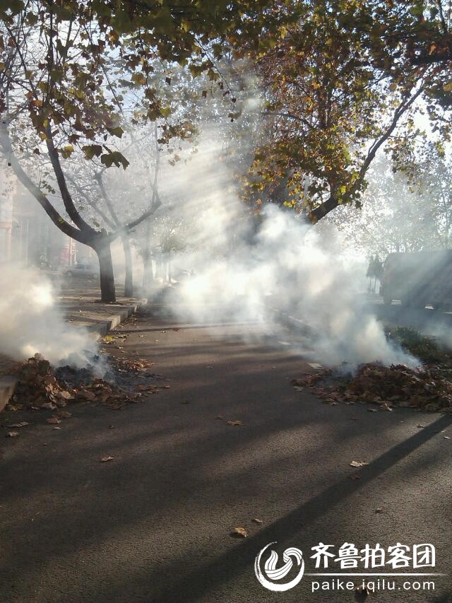 PM2.5是怎么产生的。环境是怎么污染的。 - 莱