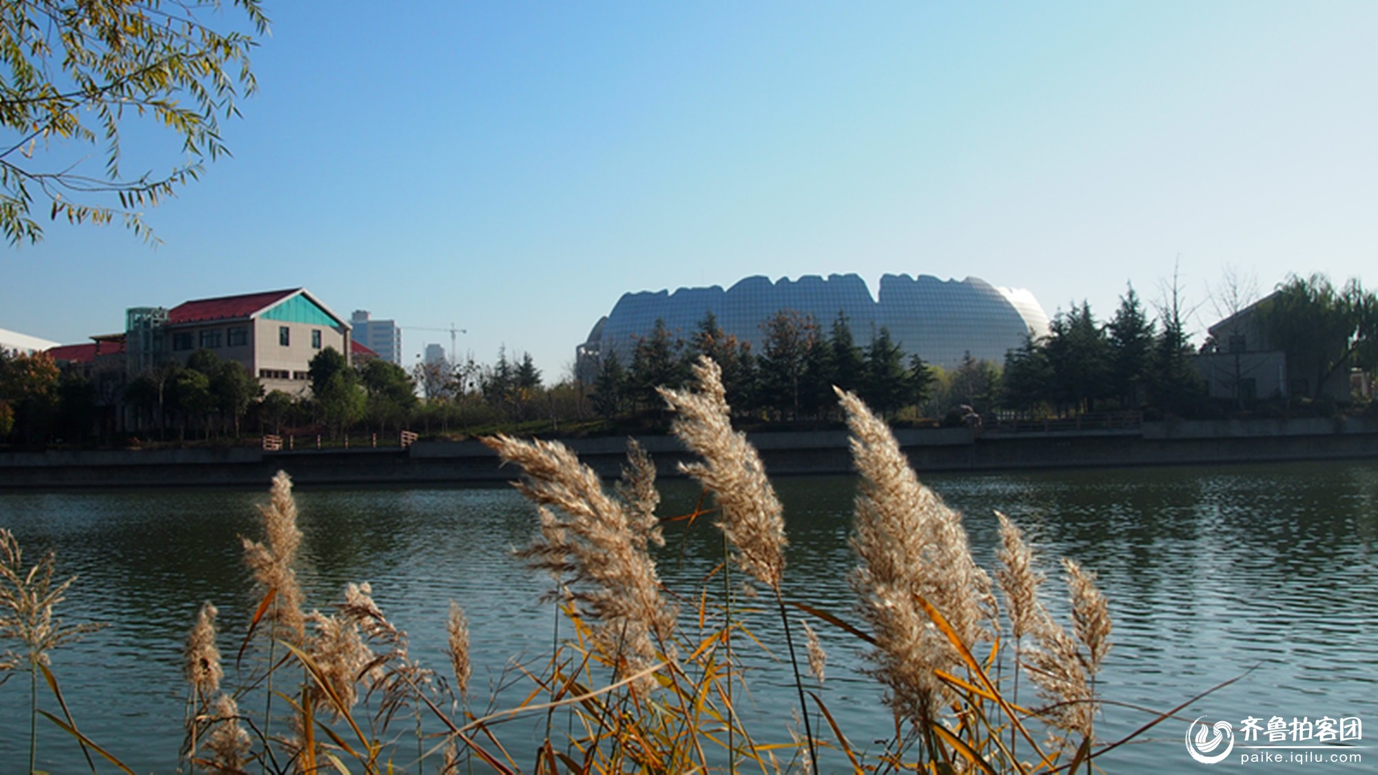 初冬的菏泽风景--赵王河! - 菏泽拍客 - 齐鲁社区
