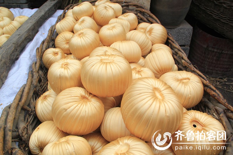 是这个糖瓜吧