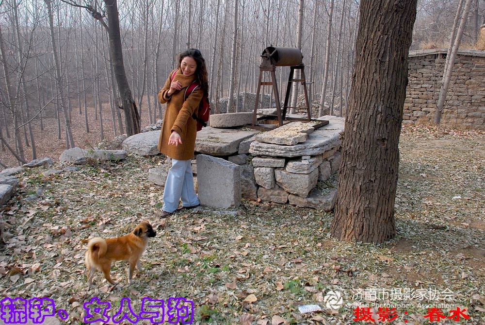 <em>辘轳、女人</em>和狗 - 长清区 - 齐鲁社区 齐鲁社区