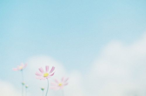 淡然,是人生的一种成长 - 采集 - 齐鲁社区 - 山东