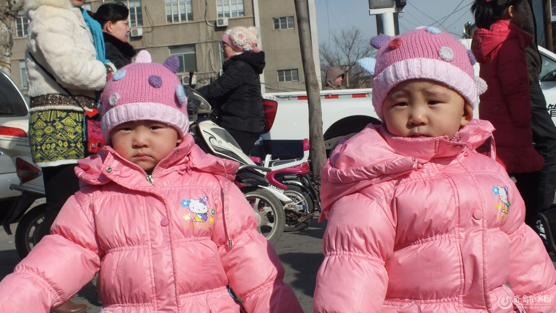 周村<em>古城-姐妹花</em> - 东营拍客 - 齐鲁社区 - 山东最