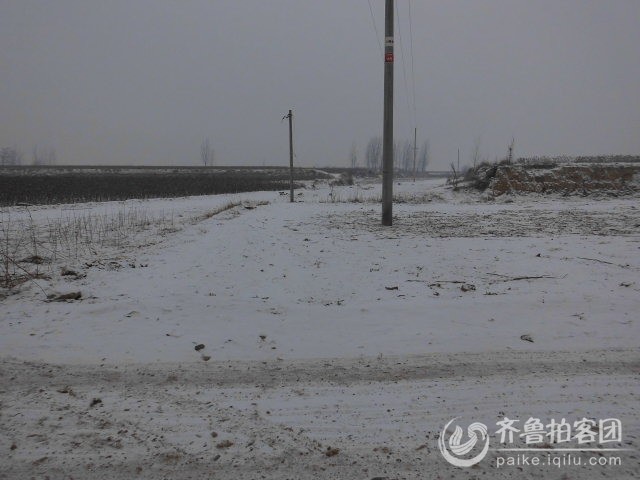 154523n7azrblr6ocoookk.jpg